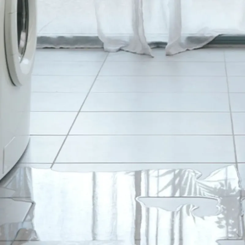 Appliance Leak Cleanup in Fox Chase, PA